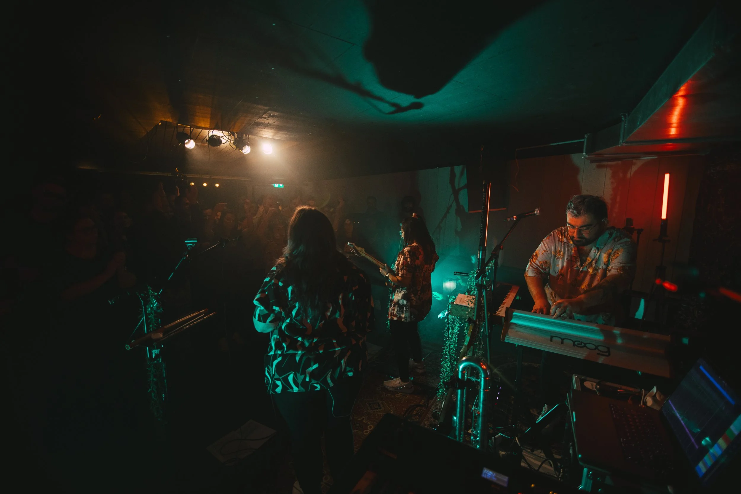My Sweet Undivine – Band wide 2